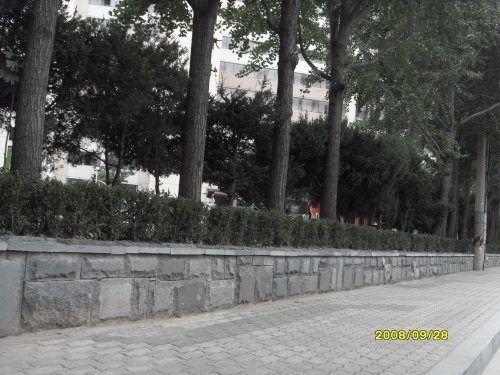 105_8282632