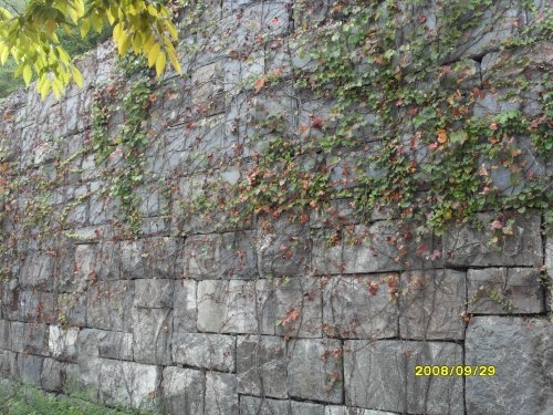 127_9105661